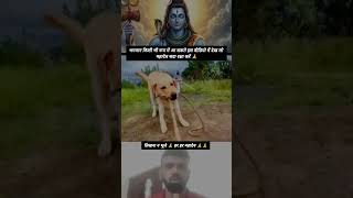 महादेव सदा रक्षा करें 🙏🙏!! #mahadev #bholenath #shiv #bhajan #bhakti #trending #explore #trend