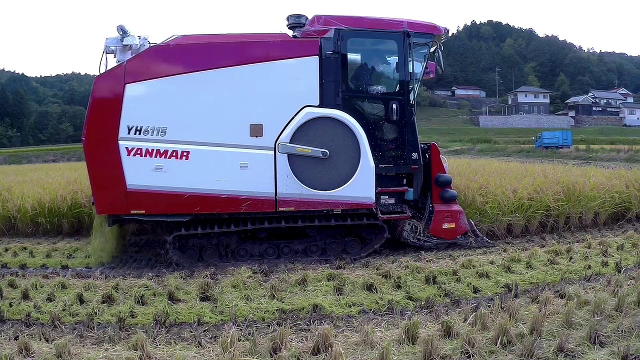新型】YANMAR YH6115 コシヒカリ 6条刈コンバイン - YouTube