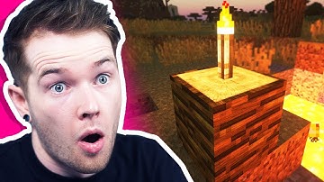 Minecraft, but it looks BETTER THAN REAL LIFE!