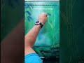 Spray Paint Art Is Easy And Fun! Learn 7 Awesome Techniques And Effects For Beginners.