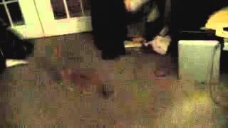Eddy The Cat: Red Dot Chase