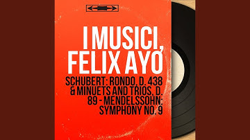 Symphony No. 9 in C Minor, MWV N9: I. Grave - Allegro moderato (Arranged for Chamber Orchestra)