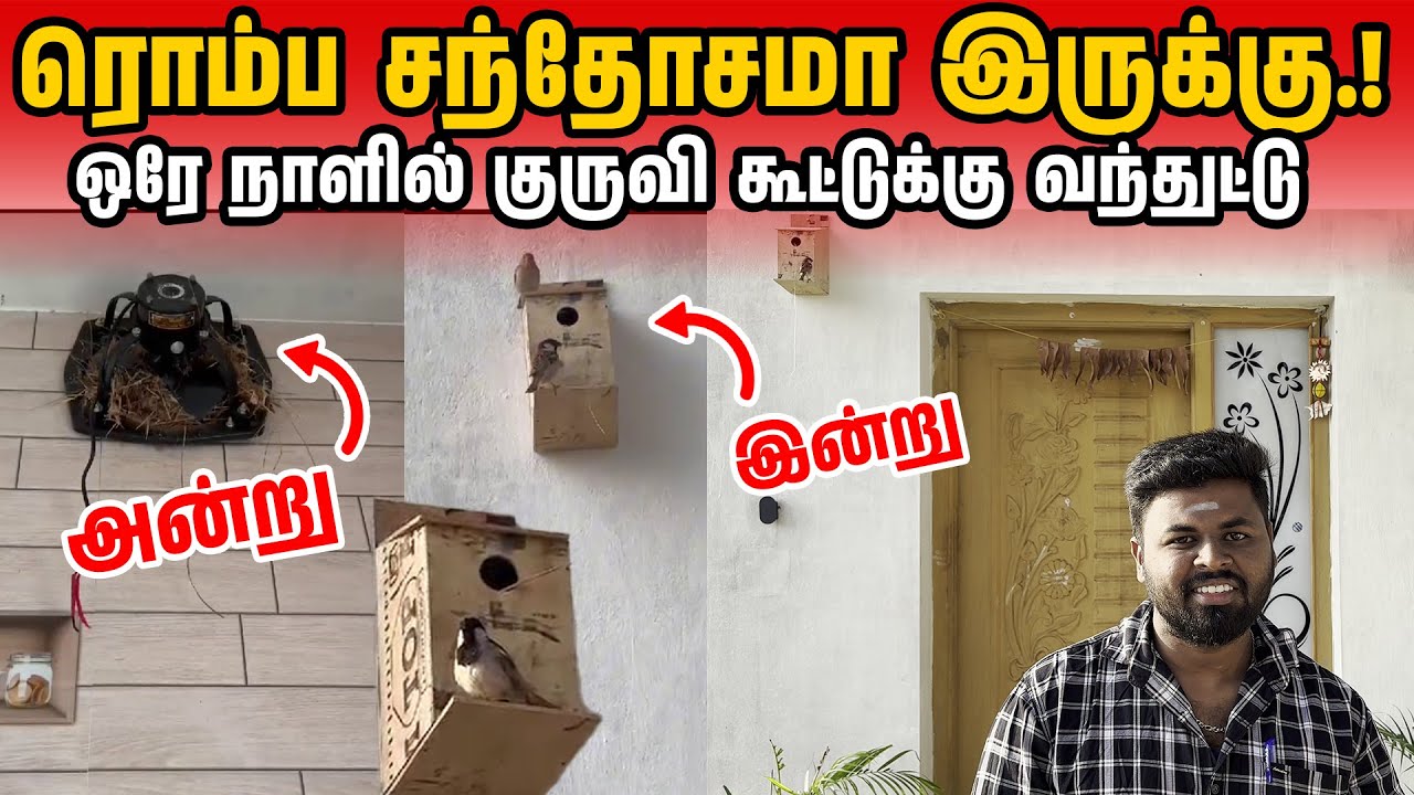 Sparrow conservation l KOODUGAL TESTIMONIAL l Karthik kumar l Thirupur