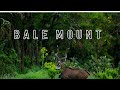 Gadamsa Baddaa Baalee Paarkii Biyyoolessa Gaarreen Baalee Visit Oromia 