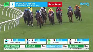 Japan Trophy 2026 - OMEGA BOY (3YO+ SWP G2) Group 2 Tauranga NZ 14 March