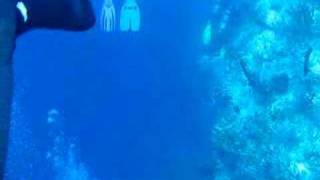 Bahamas Wall