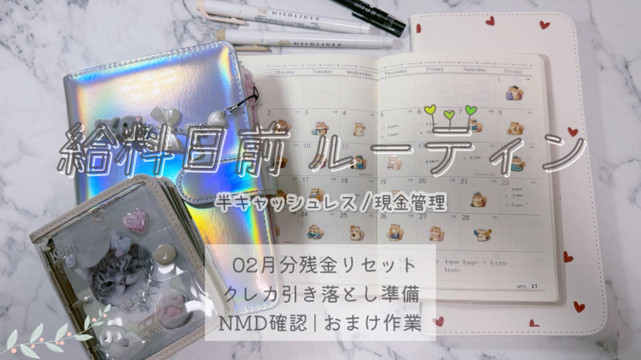 【給料日前ルーティン】02月分残金確認👹クレカ引き落とし準備/家計簿確認/作業動画
