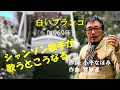 「白いブランコ」 字幕付きカバー 1969年 小平なほみ作詞 菅原進作曲 ビリー・バンバン 若林ケン 昭和歌謡シアター ~たまに平成の歌~