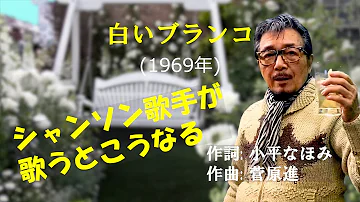 白いブランコ