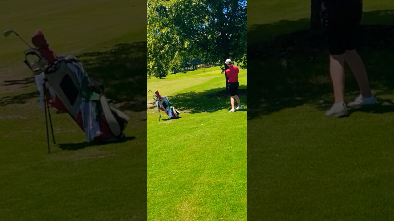 Hitting under tree in SJGT tournament at Saugahatchee CC