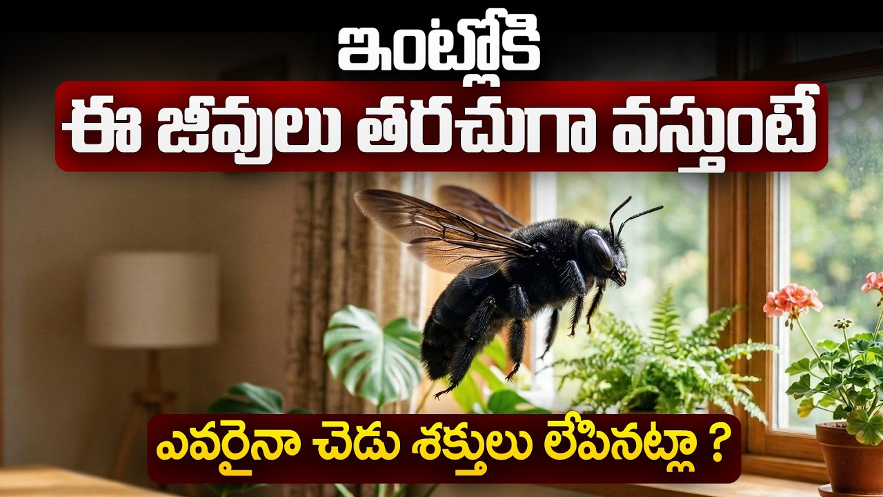 ఈ జీవి తరచు ఇంట్లోకి వస్తుంటే చెడు ప్రయోగమా? నిజం ఏమిటి? | ee Jeevi intloki vasthe