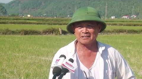 17-7 Bản tin Trong nước và Quốc tế _ tối. 