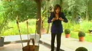 Maja Brunner - Glaub mer doch