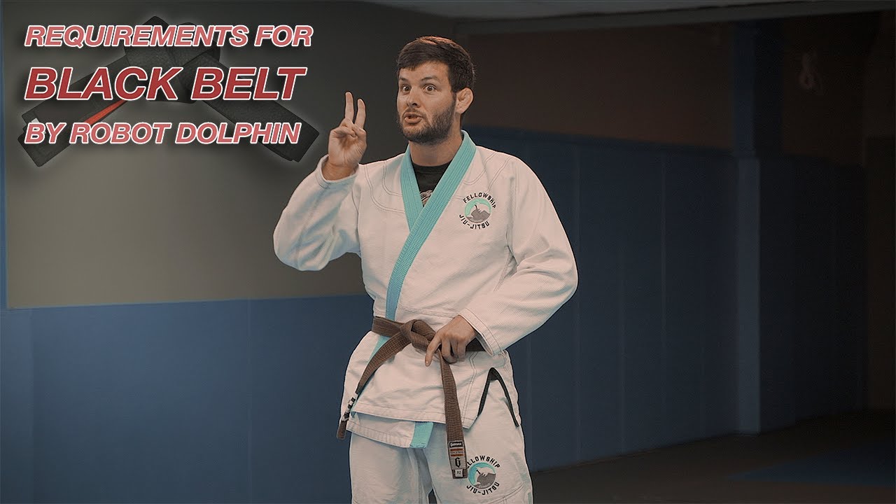 My Definitive Requirements for the JiuJitsu Black Belt YouTube