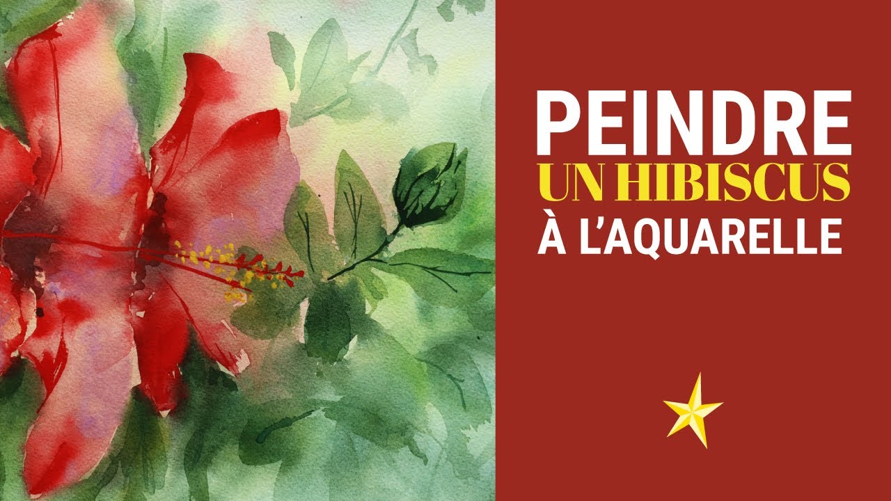 Peindre un hibiscus à l'aquarelle - thptnganamst.edu.vn