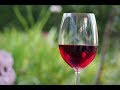Как исправить домашнее  вино, сделать прозрачным и вкусным