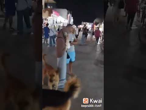 الممشي السياحي في دهب