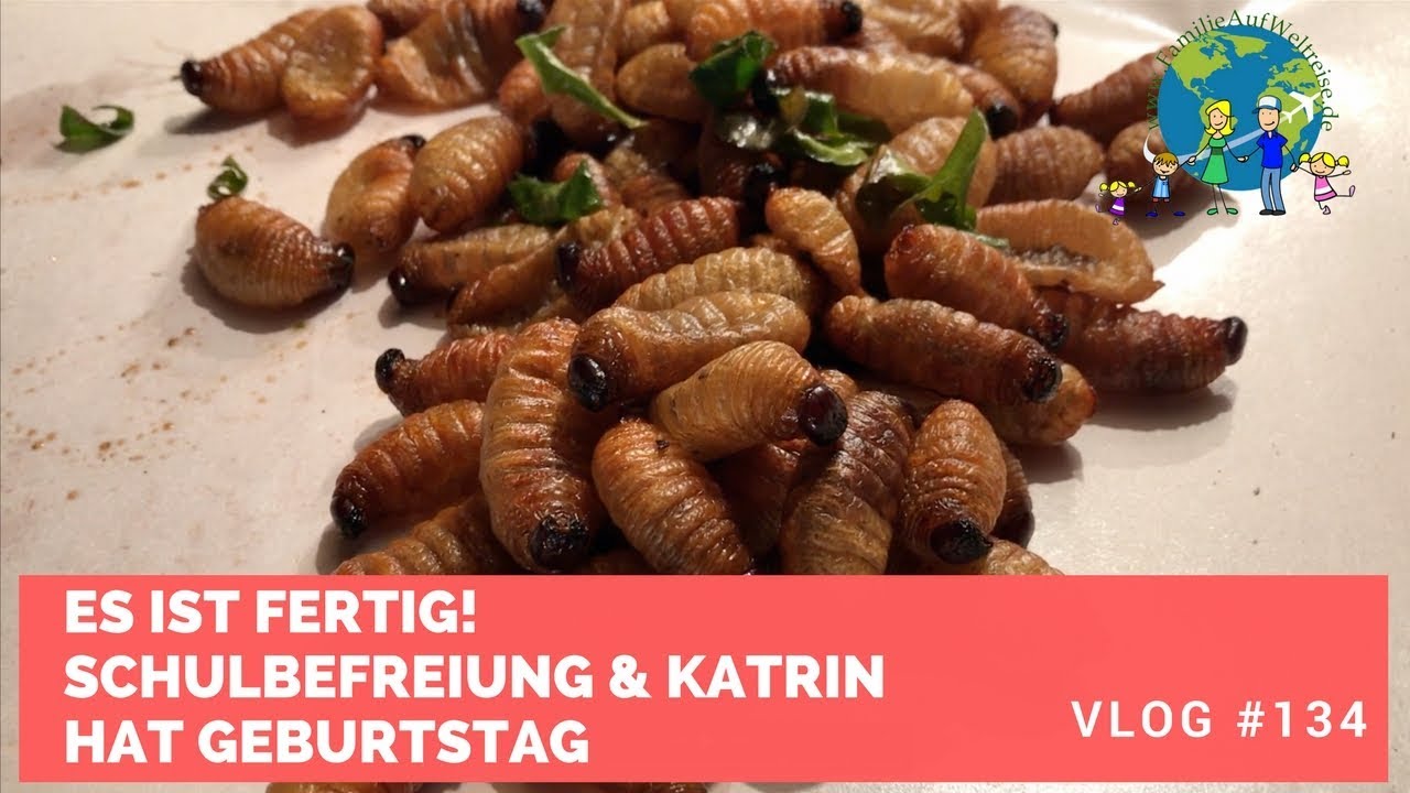 Es ist fertig! | VLOG #134