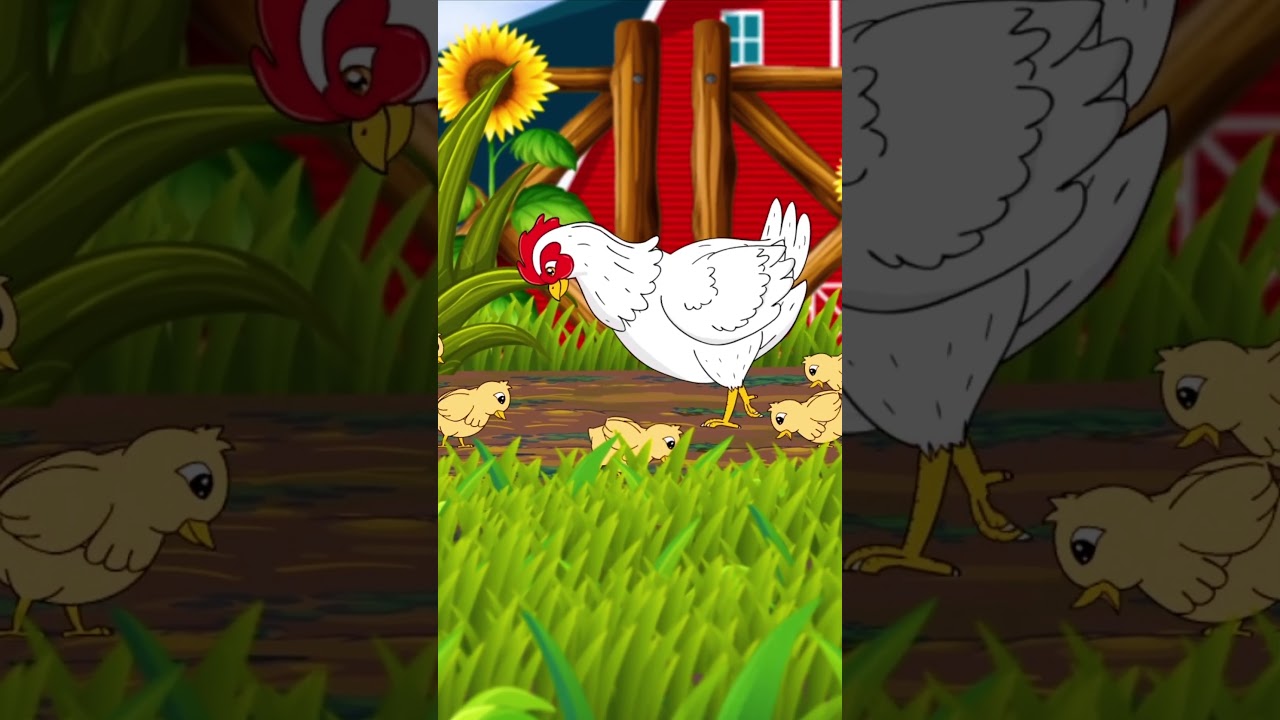 ไก่กุ๊กกุ๊กไก่