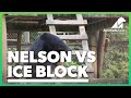 Nelson vs ice block!