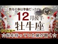 おうし座さんへ♉️【12月後半】扉が開く☆長い間待っていた事が思いっきり飛躍する!自己実現♦︎子供心/童心/楽しむ/勇気 ポイント…忍耐が報われる時なので勇気を出して!☆アファメーションで引き寄せ☆