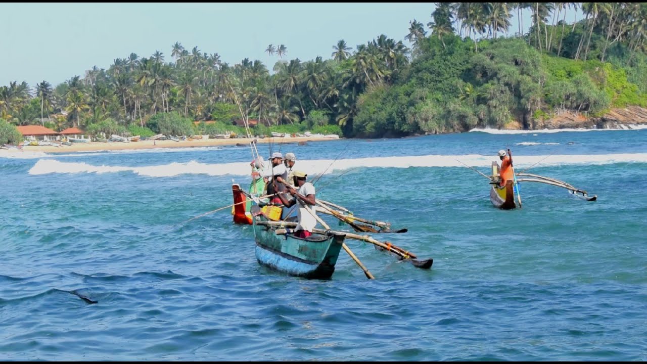 The art of angling | Rod casting | rod fishing | බිලී බෑමේ කලාව