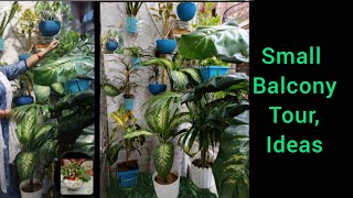 🌿नए बालकनी गार्डन की सैर , Small Balcony Garden Tour, How I organise my balcony , Balcony Decor Idea screenshot 2