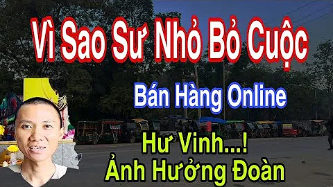 Vì Sao Sư Nhỏ Bỏ Cuộc #dungtocdaitv #dungmapvlog #thichminhtue