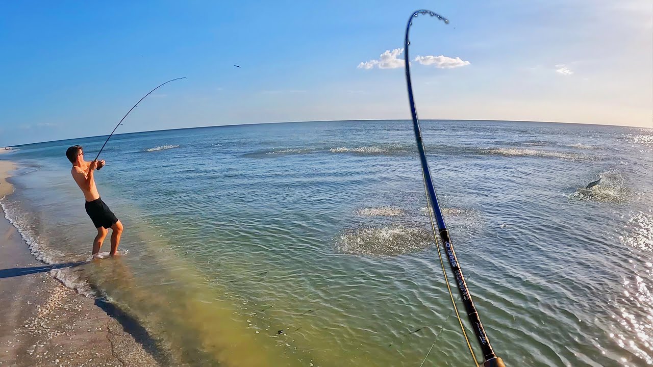 Nonstop Action on this Florida Beach!!! Epic Surf Fishing FEEDING FRENZY! 