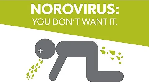 Proč jsou noroviry příčinou onemocnění žaludku?