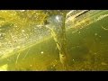 Underwater Tornado - Whirlpool