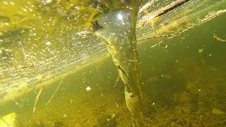 Underwater Tornado  Whirlpool