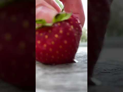 How I Make A Strawberry Fresh Shorts Best Editing Video By Tiktok Family 