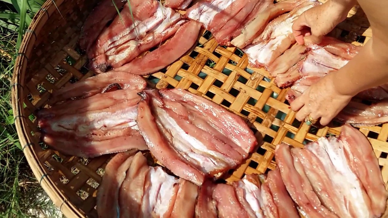 How To Dry Snakehead Fish - Cambodian Food - YouTube