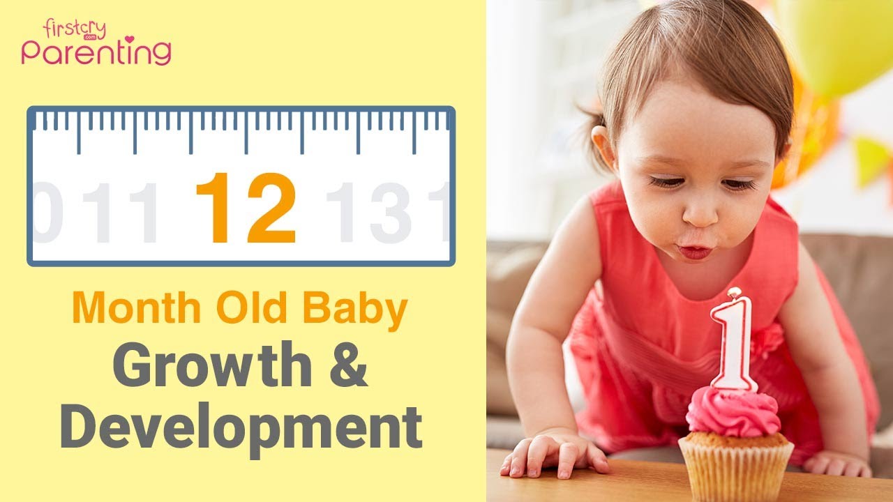 Your 12 Month Old Baby : Growth, Development, Activities & Care Tips ...