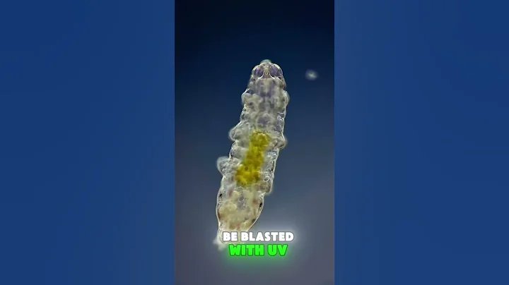 This Microscopic Animal Can Survive Space 🚀 | Tardigrade Facts #shorts  #animals