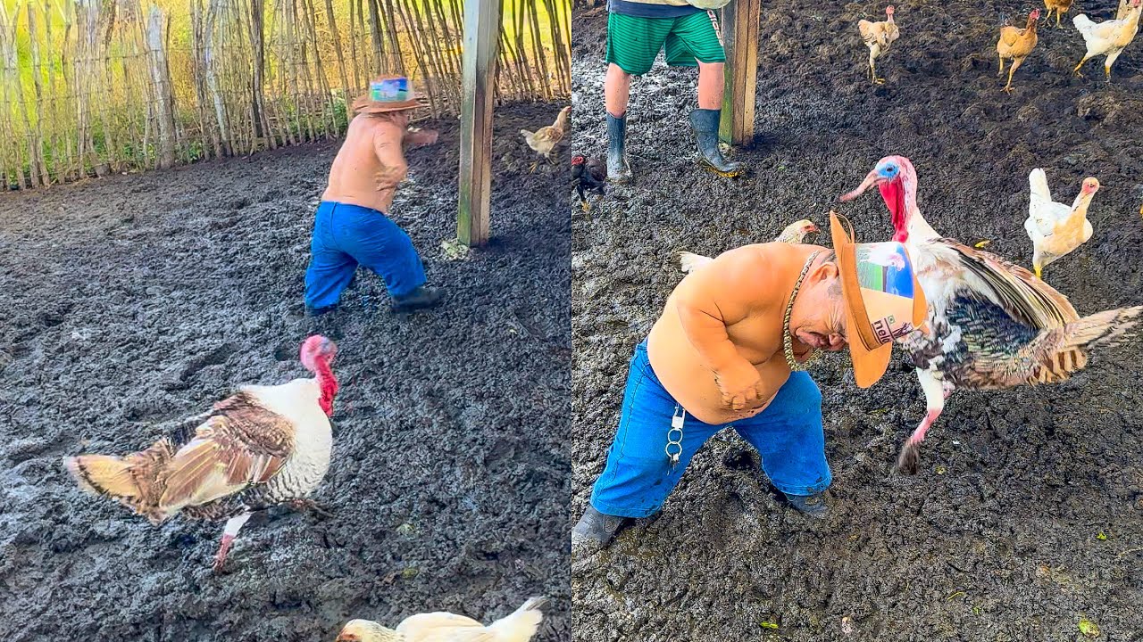 PERU BRAVO DÁ UM CASSETE EM PILILIU NA APOSTA 🤣 | PILILIU DA RESENHA