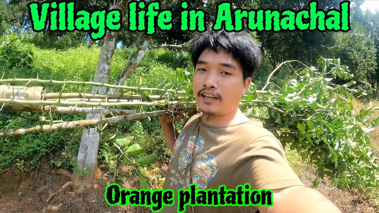 Village Life in Arunachal | Visiting Orange Garden & Planning My Own Plantation #Goixplore