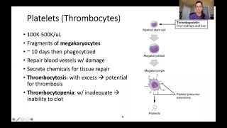Ch 18 Pt 5 Platelets