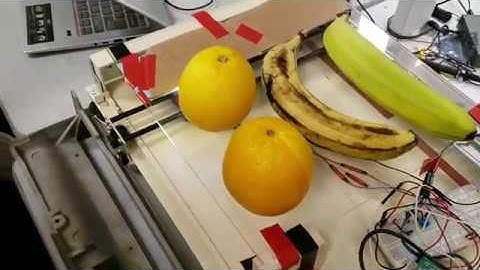 Banana Scanner Fruit Ripeness