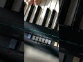 35年ぶりにひいてみた 戸川純ユニット/ある晴れた日(原曲プッチーニ) #うたスキ#クラシック#ひいてみた#静寂