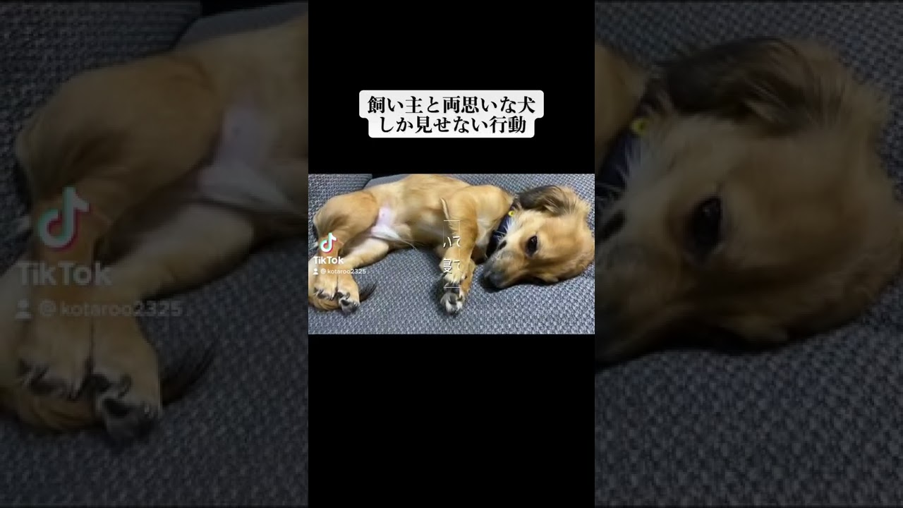思いなしか