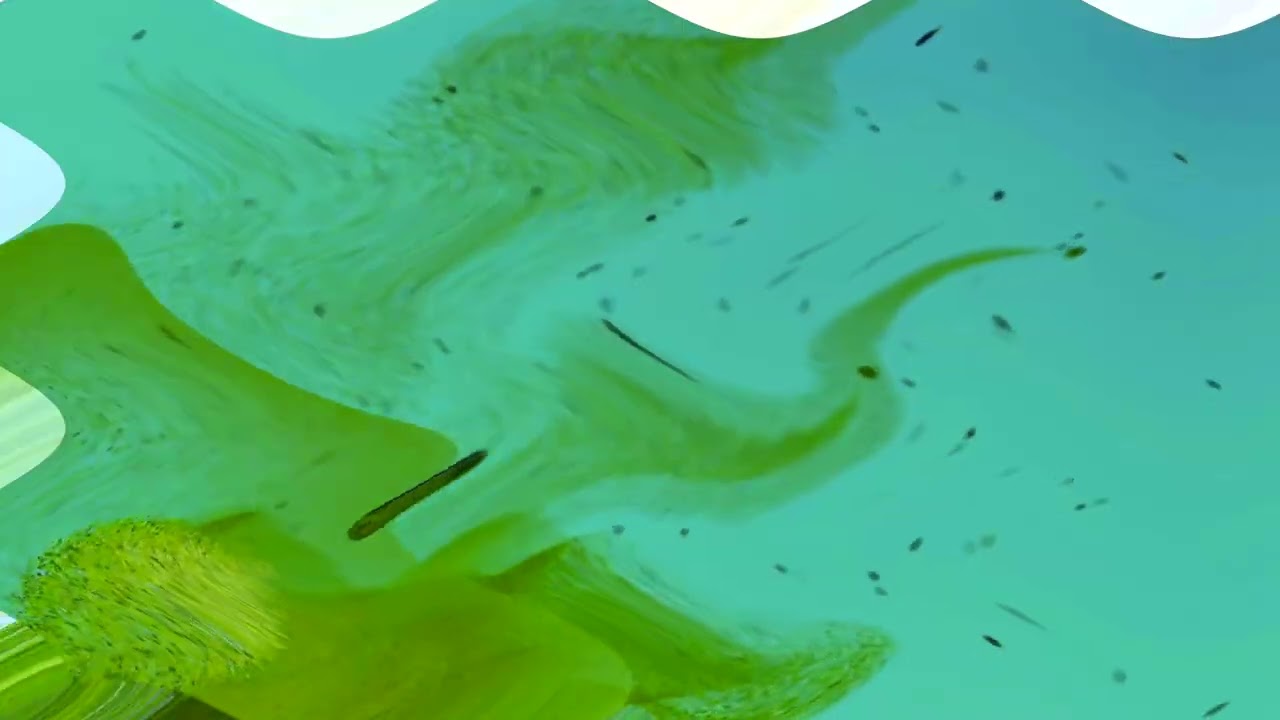 [REQUESTED] TVN7 Ident 2021 Effects Part 2