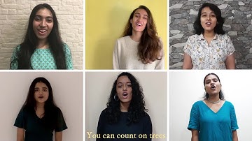 Care for Creation: Part VI - Count on Trees