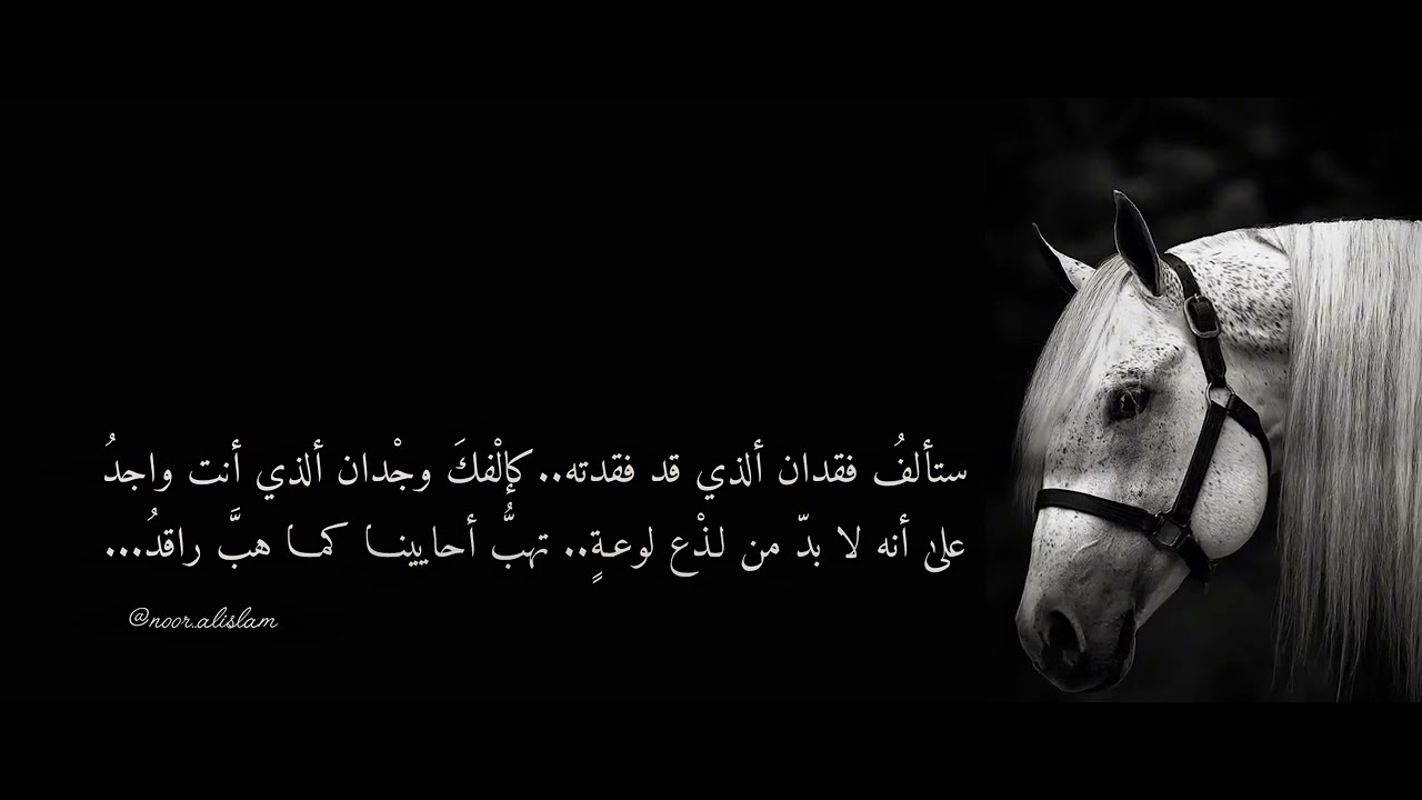 «ستألف فقدان ألذي فقدته كإلفك وجدان ألذي أنت واجد علۍ أنه لا بد من لذع ...