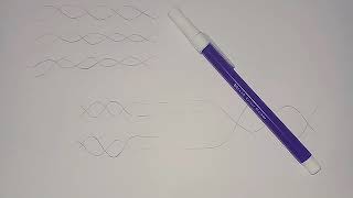 DNA Replication Part 3 - The process with Diagram (replication fork)