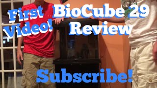BioCube 29 Review!