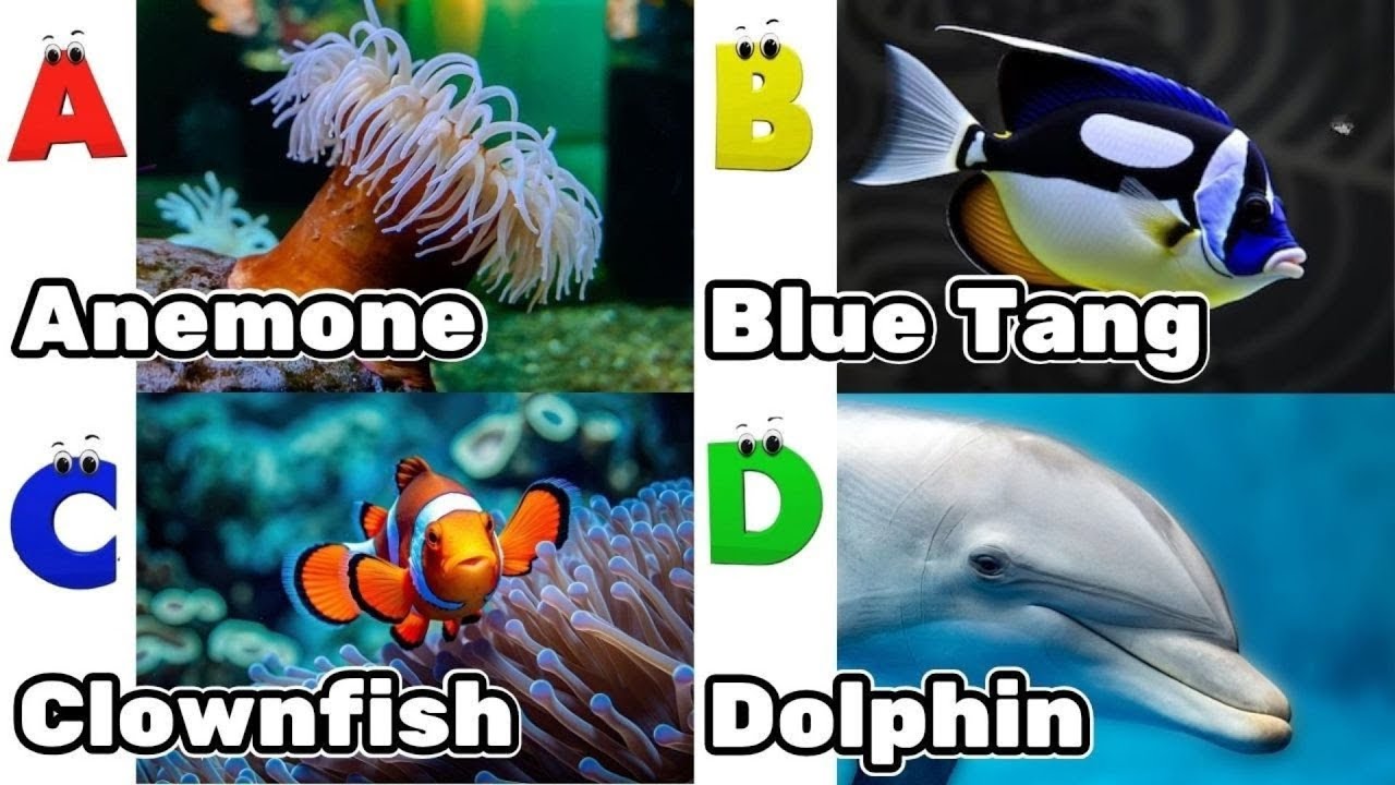 Песенка про алфавит и морских животных | Обучающее видео по алфавиту для детей дошкольного возрас...