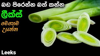 හමම ආසවන කන ලකස තමපරදව Leeks Recipe