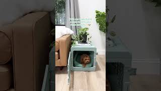 🏠Adaptable design! #puppy #dog #pets #aesthetic #dogcrate #petlover #doglife no copyright intended